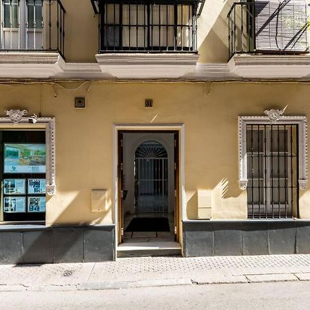 Behouse Alfalfa Sevilla Kültér fotó